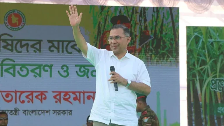 PM Tarique